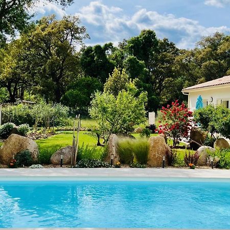 Mini Villa Pascal Paoli Avec Piscine - Proche Mer Prunelli-di-Fiumorbo ภายนอก รูปภาพ