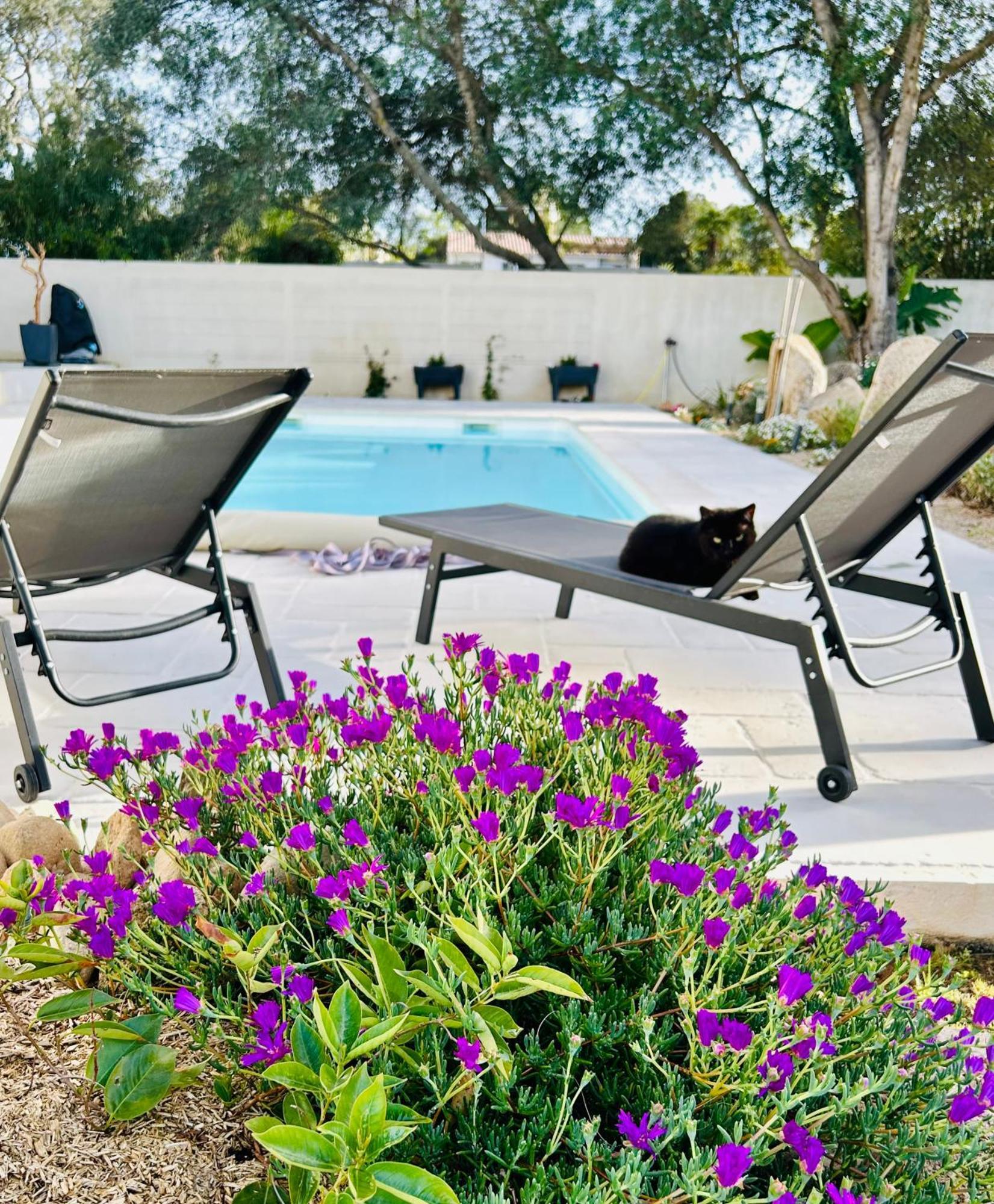 Mini Villa Pascal Paoli Avec Piscine - Proche Mer Prunelli-di-Fiumorbo ภายนอก รูปภาพ