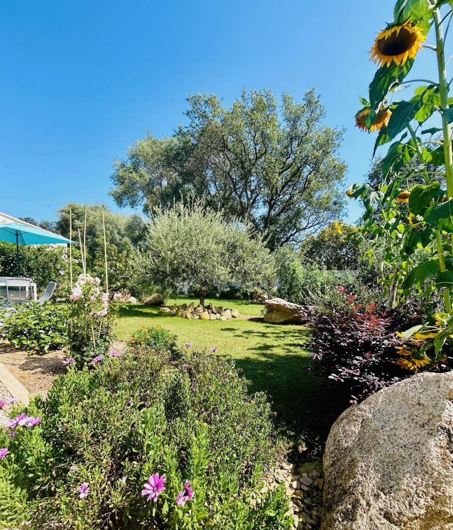 Mini Villa Pascal Paoli Avec Piscine - Proche Mer Prunelli-di-Fiumorbo ภายนอก รูปภาพ